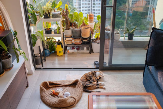 The Complete Guide to Cat Litter and Hygiene in Small Apartments: Secrets for Fresh, Odor-Free Living