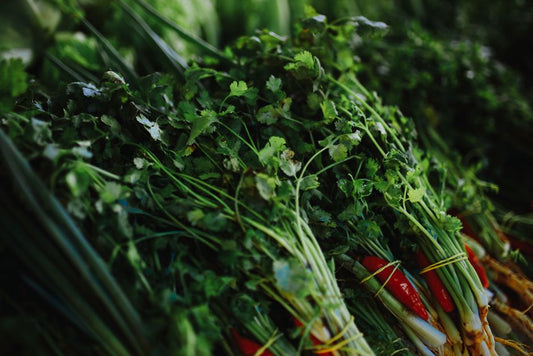 How to Keep Cilantro and Parsley Fresh for Weeks Without Wilting