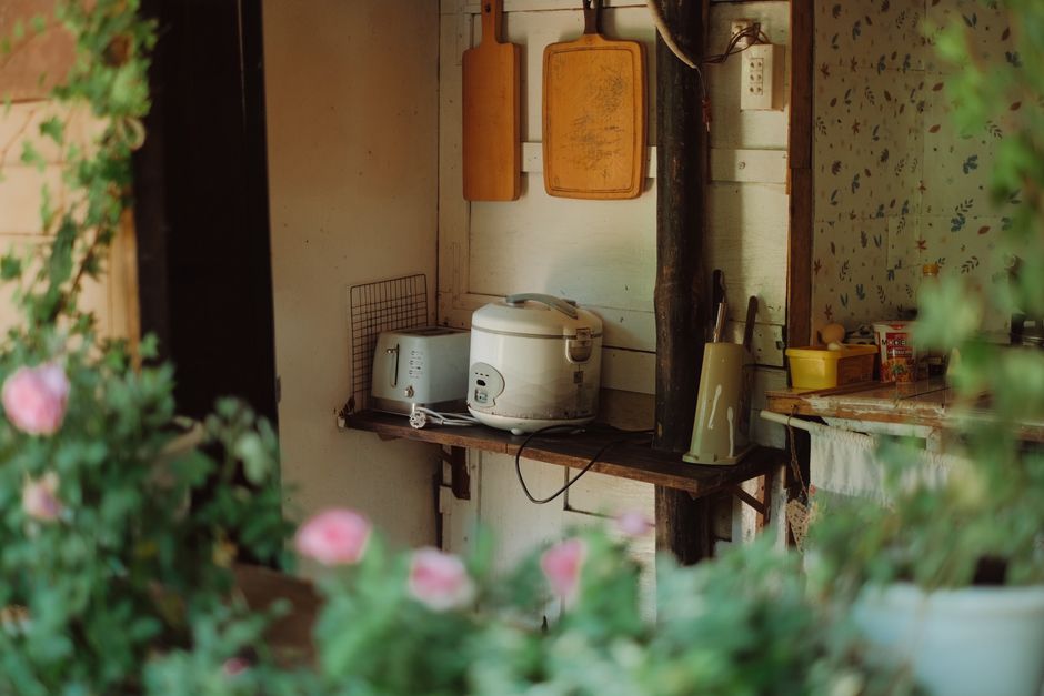 Rice Cooking Dos and Don'ts: The Complete Guide to Perfect Stovetop Rice Without a Rice Cooker