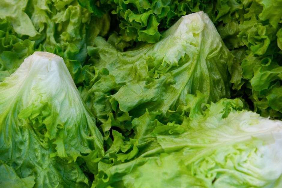 How to Wash and Store Lettuce for Maximum Crispness Without a Salad Spinner