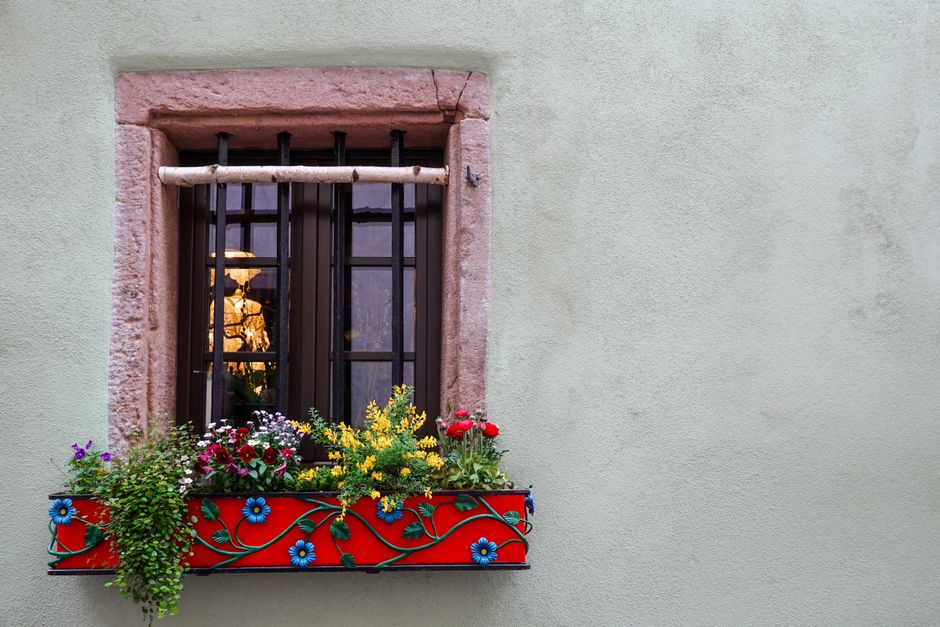 Window Box Gardening: Essential Tips and Tricks for Thriving Displays