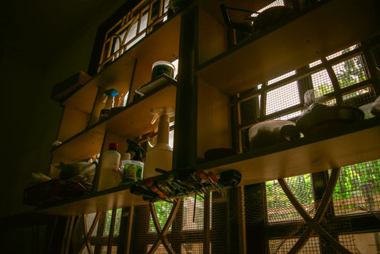 Pet Supply Storage Systems That Actually Work for Multi-Pet Households