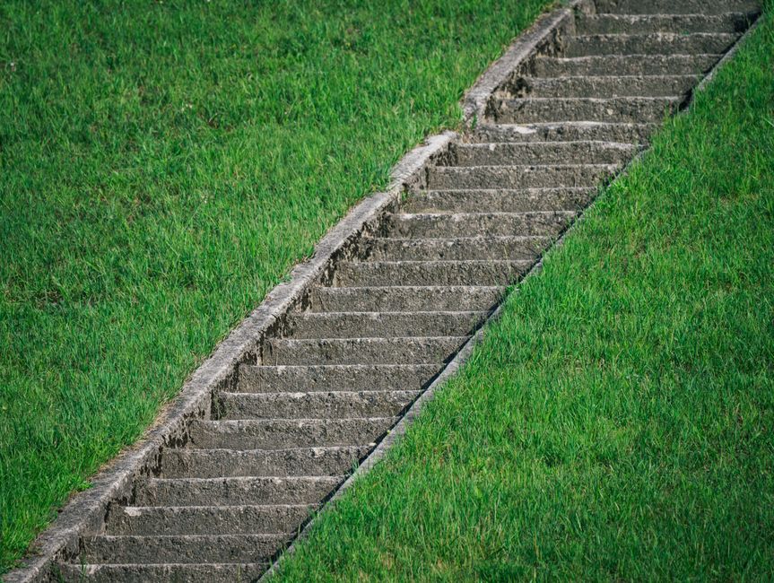 Step-by-Step Guide to Diagnosing and Correcting Common Lawn Problems