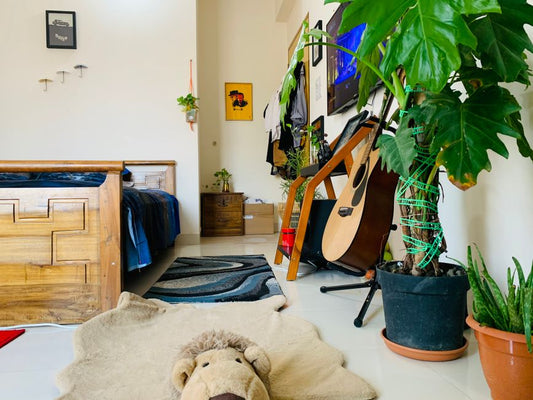 Essential Dorm Room Organization Systems for Maximizing Small Spaces