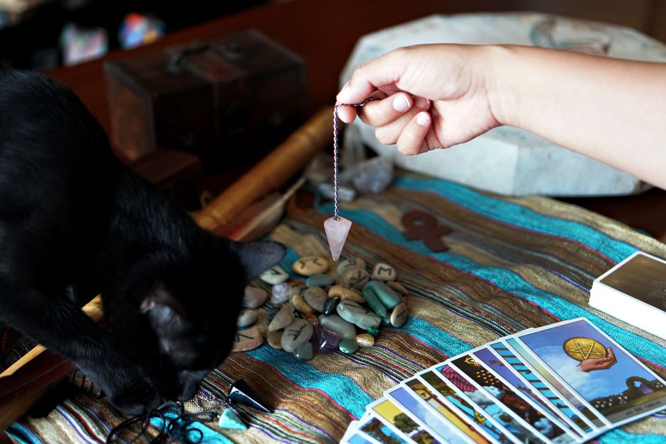 Why Your Cat's Litter Box Routine Keeps Failing (Vet-Approved Fixes)