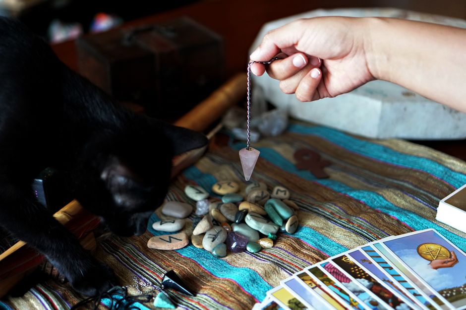 7 Green Pet Care Mistakes You're Probably Making and How to Fix Them Naturally