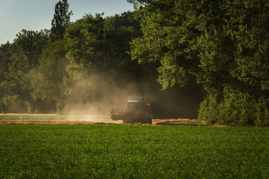 Mulch for Maximum Yield: The Complete Guide to Feeding Your Soil and Boosting Harvest
