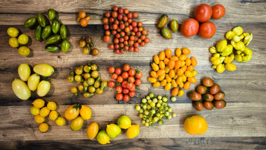 The Seasonal Tomato Grower's Calendar: From Seed to Harvest Month by Month