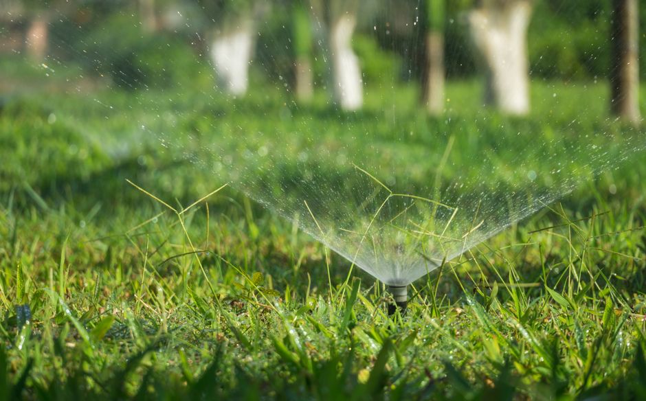How to Build a Self-Sustaining Garden Watering System: A Step-by-Step Guide