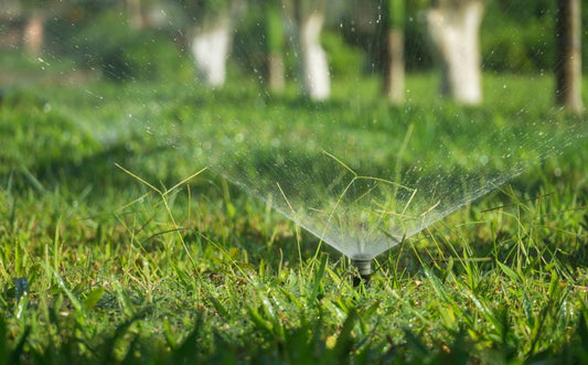 How to Build a Self-Sustaining Garden Watering System: A Step-by-Step Guide