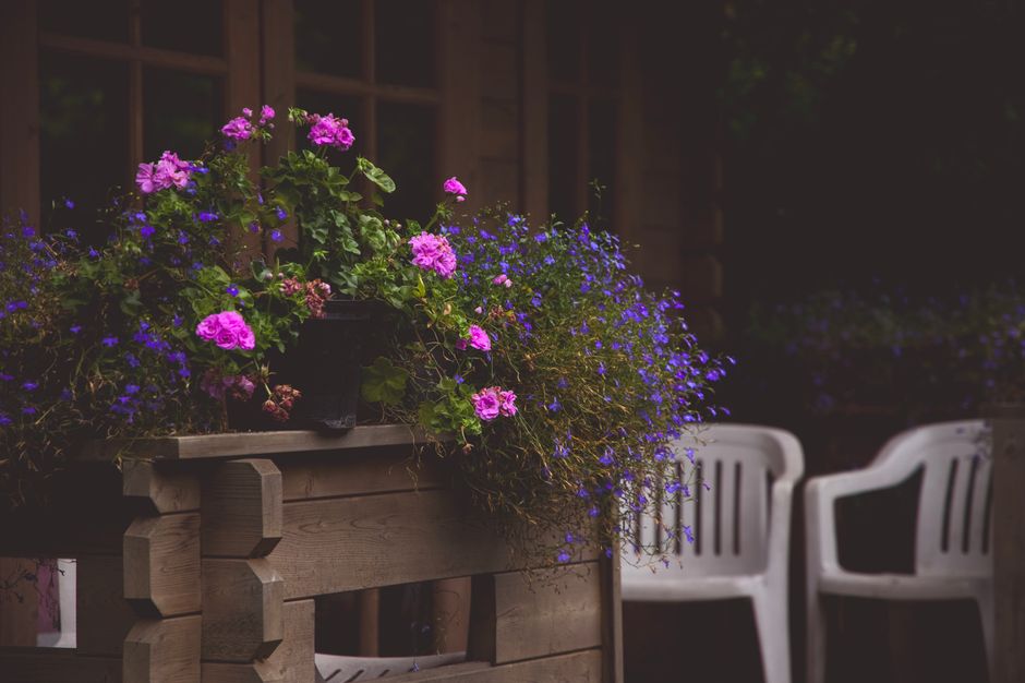 The Seasonal Container Garden: A Month-by-Month Guide to Year-Round Success