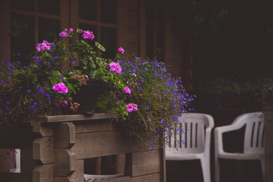 The Seasonal Container Garden: A Month-by-Month Guide to Year-Round Success