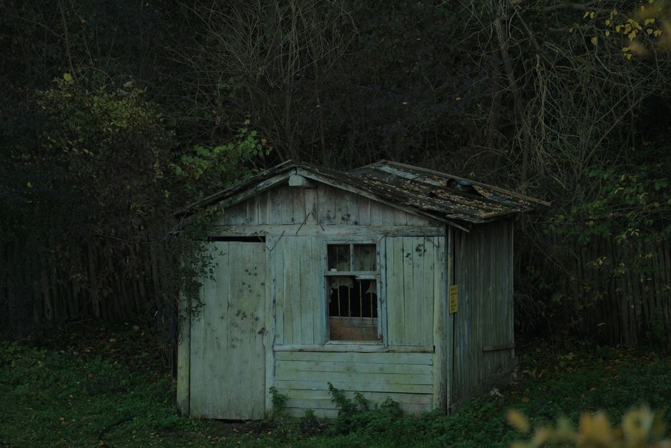How to Prevent Shed Rot: The Complete Guide to Waterproofing and Moisture Control