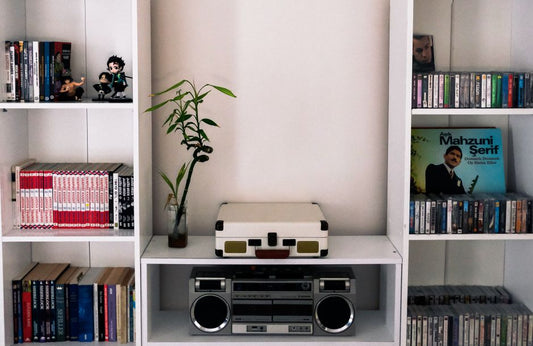The Essential Guide to Minimalist Media and Game Storage