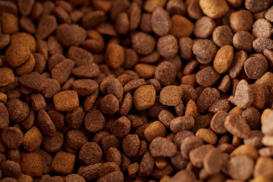 How to Store Pet Food for Anxious Pets: A Calming Guide