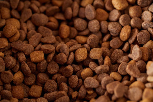 How to Store Pet Food for Anxious Pets: A Calming Guide