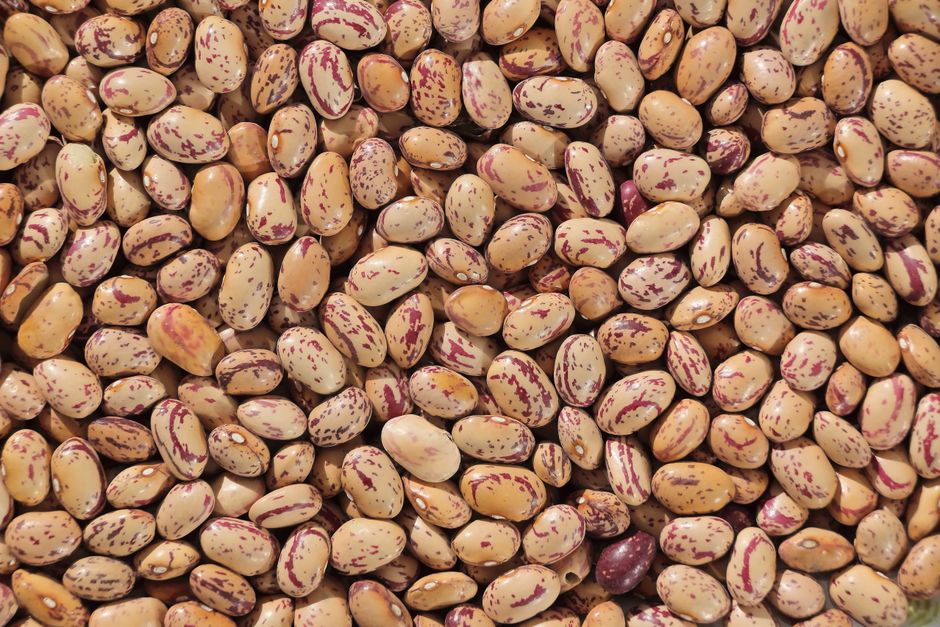 How to Soak and Cook Dried Beans Perfectly Without Gas or Mushiness