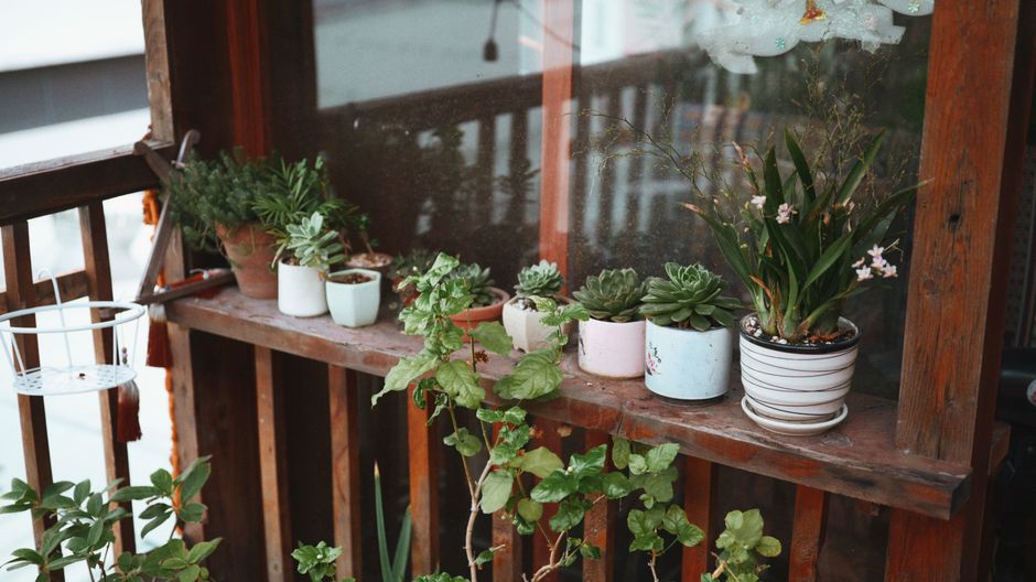 The Complete Guide to Small Space Garden Watering: Smart Systems for Balconies, Patios, and Tiny Yards