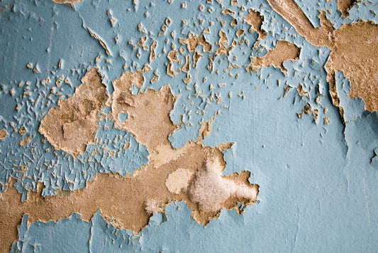 How to Remove Dried Paint Stains from Carpet Without Damaging the Fibers