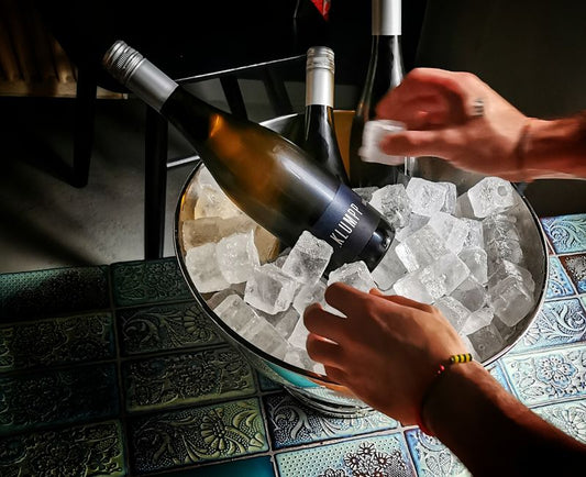 5 Warning Signs Your Wine Cooler Is Failing (And What to Do)