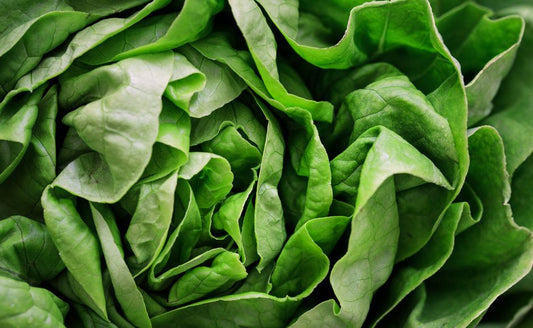 How to Use a Salad Spinner Without Wilted Greens: Expert Tips for Crisp, Dry Lettuce Every Time