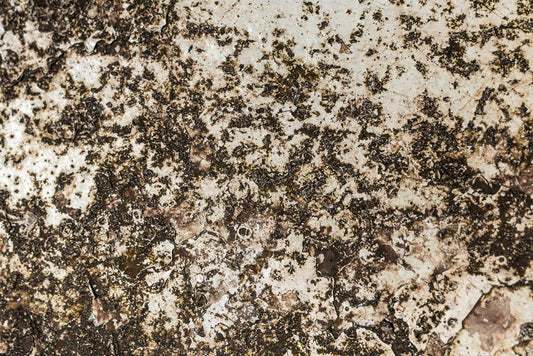 The Complete Guide to Safely and Effectively Removing Hard Water Stains from Every Surface