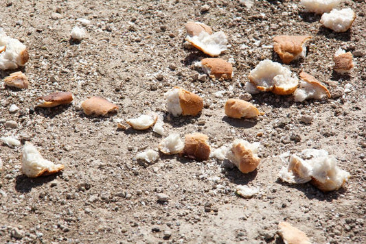 How to Reduce Bread Waste: A Complete Guide to Storing, Reviving, and Repurposing Every Crumb