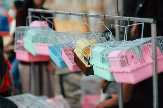 Hamster Cage Odor Prevention: A Complete Guide to a Fresh Smelling Habitat