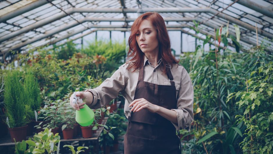 7 Sneaky Pest Control Tips and Tricks Every Indoor Gardener Should Know