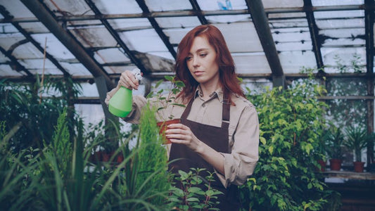Why Is My Indoor Plant Struggling? A Practical Guide to Diagnosing and Fixing Common Growing Problems