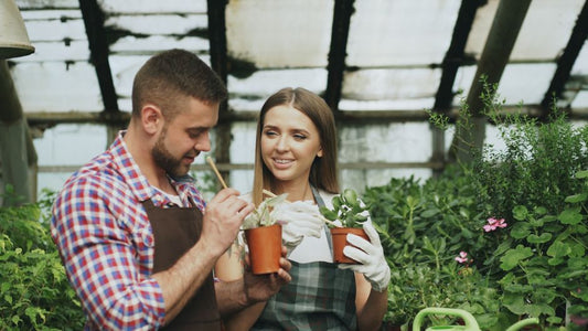 Is Your Plant Telling You It’s Hungry? Spotting Fertilizer Deficiency Signs and Quick Fixes