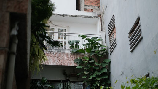 The Hidden Problem of Apartment Balcony Gardening: Why Your Plants Aren't Thriving (And How to Fix It)