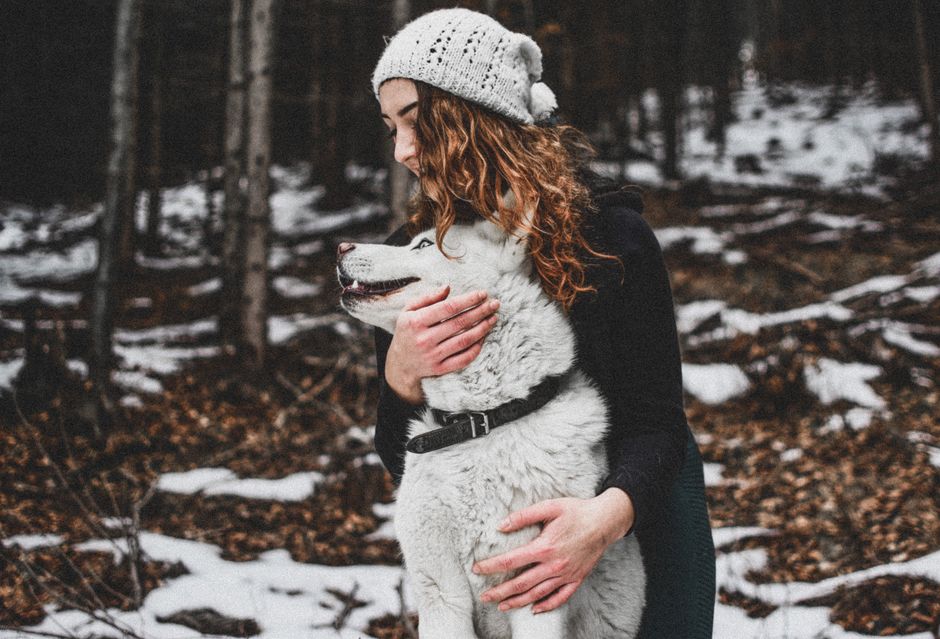 Essential Winter Pet Care on a Budget: Affordable Tips and Products
