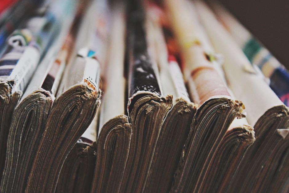 The Dollar Store Secret: Genius Magazine and Book Storage Systems That Cost Pennies