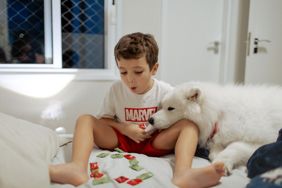 The Complete Multi-Pet Parasite Prevention System: Safeguarding Your Whole Furry Family