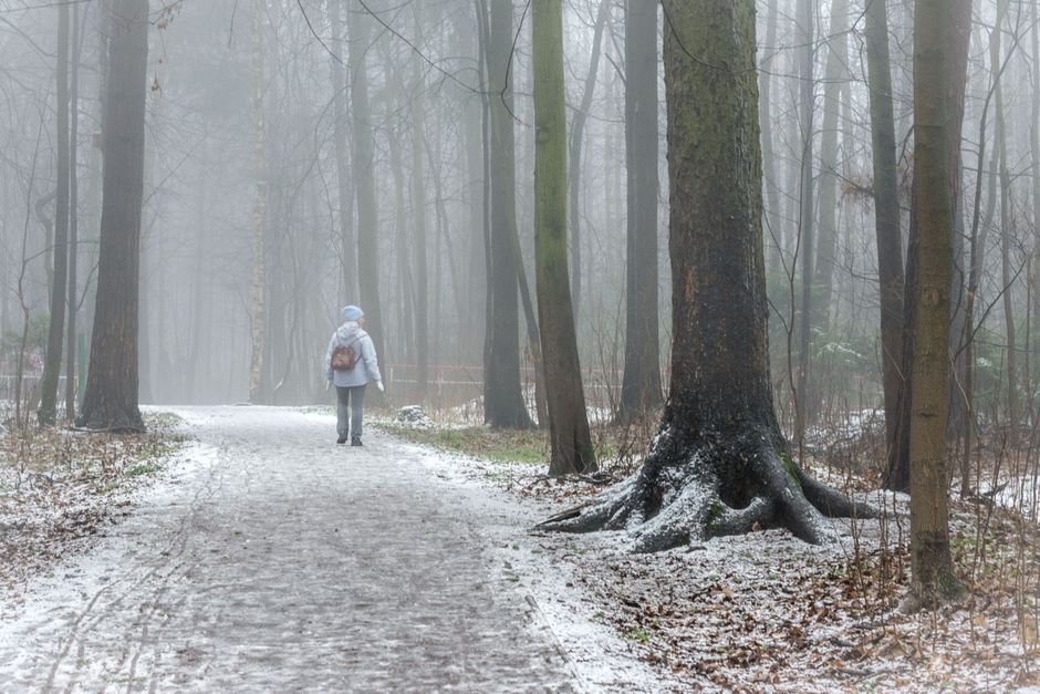 Winter Flea and Tick Survival Guide: Why Cold Weather Doesn't Stop the Bite
