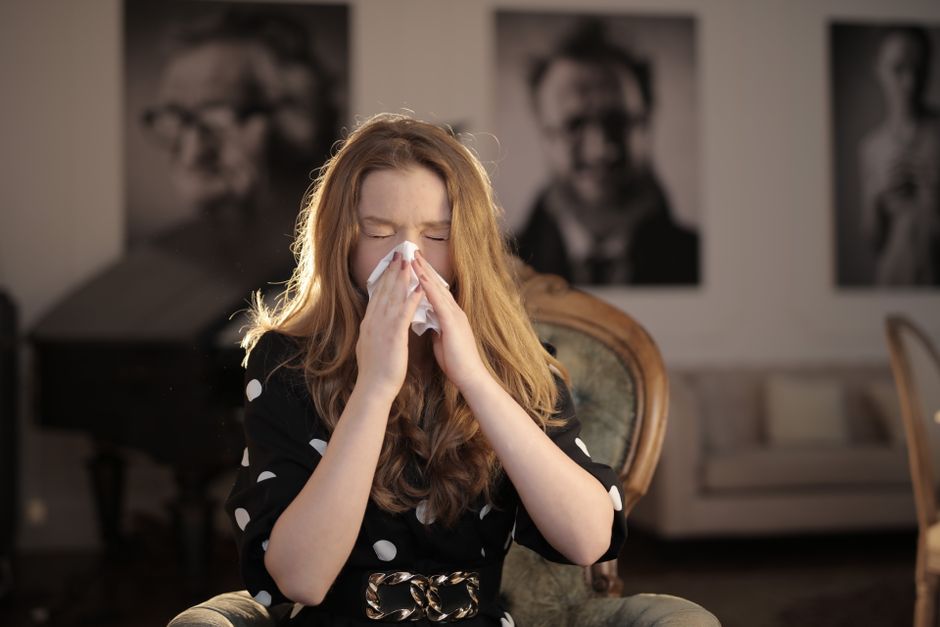 7 Under-$20 Solutions for Home Allergy Relief Without Expensive Products