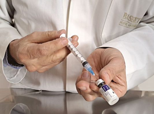 The Holistic Pet Care Box: Natural Remedies for Vaccination Recovery and Routine Health Checks