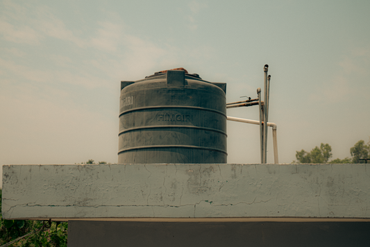 Budget Rainwater Harvesting: A Practical System for Saving Money and Water