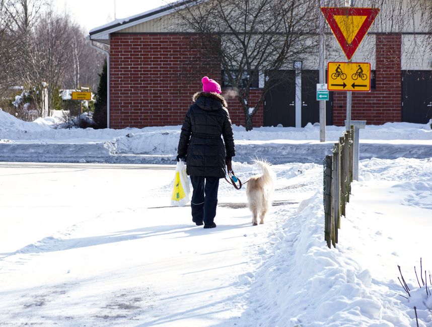Subtle Signs Your Pet is Struggling This Winter