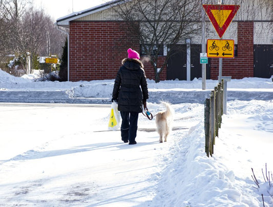 Subtle Signs Your Pet is Struggling This Winter