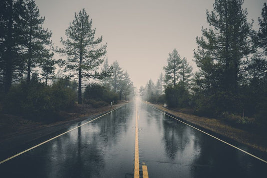 The Complete Guide to Family Road Trip Preparedness: Safety, Comfort, and Confidence
