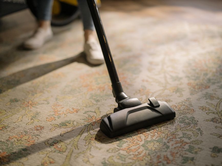 The Essential Carpet Cleaning Toolkit: Tools You Need for Deep, Lasting Clean