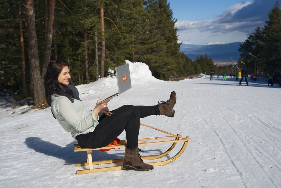 The Digital Nomad’s Pet Travel System: Gear That Keeps You Both Productive and Free