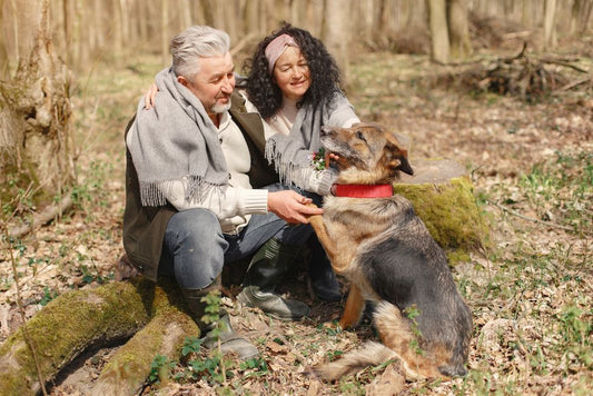 The Complete Guide to Enrichment and Exercise for Senior Pets