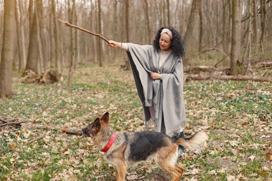 Hidden Signs Your Dog's Training Isn't Sticking: Recognizing the Real Symptoms