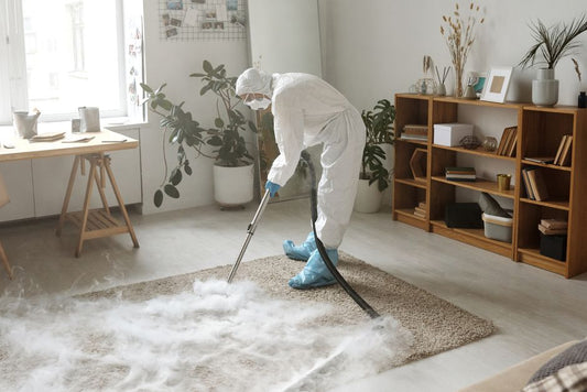 How to Safely and Effectively Clean Carpet and Upholstery Without Harsh Chemicals