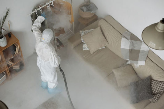 The Complete Guide to Preventing Allergen Buildup in Your Home