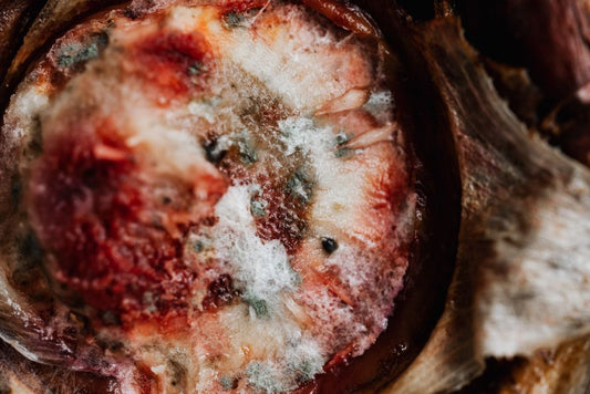 The Science of Decomposition: Why Your Kitchen Waste Doesn't Just Disappear