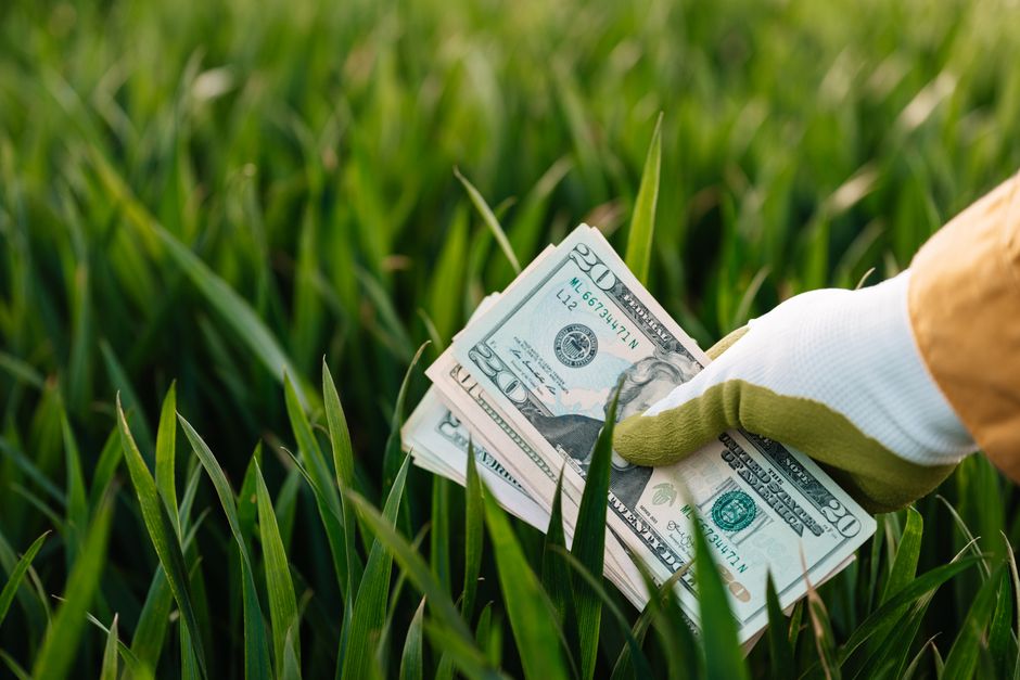 Weed Control on a Budget: Smart Strategies That Save Money and Your Garden
